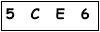 salt-FB33E9DC