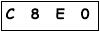 salt-787A2481