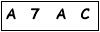 salt-B42CD289