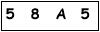 salt-EF47318B