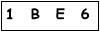 salt-CD1B3873